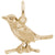 Robin Charm In Yellow Gold