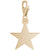 Star Charm in Yellow Gold Plated