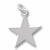 Star charm in 14K White Gold hide-image