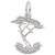 Monterey Cypress Charm In 14K White Gold