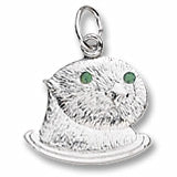 Seaotter charm in Sterling Silver hide-image