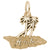 Aruba Charm in Yellow Gold Plated