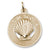 Nova Scotia Shell Charm in 10k Yellow Gold hide-image