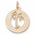 South Carolina charm in Yellow Gold Plated hide-image