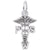 Psw Charm In 14K White Gold