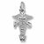 Psw charm in Sterling Silver hide-image