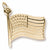 Usa Flag charm in Yellow Gold Plated hide-image