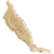 Aruba Charm In Yellow Gold