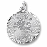 Leo charm in Sterling Silver hide-image