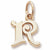 Initial R charm in Yellow Gold Plated hide-image