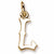 Initial L charm in 14K Yellow Gold