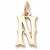 Initial N charm in 14K Yellow Gold