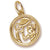 Aquarius Charm in 10k Yellow Gold hide-image