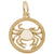 Cancer Charm in Yellow Gold Plated