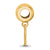 College Of Charleston Xs Charm Dangle Bead Charm in Gold Plated