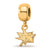 Gold Plated NHL LogoArt San Jose Sharks Xs Dangle Bead Charm