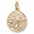 Sand Dollar charm in Yellow Gold Plated hide-image