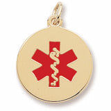 Red Paint charm in Yellow Gold Plated hide-image