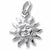 Sunburst charm in 14K White Gold hide-image