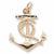 Anchor charm in Yellow Gold Plated hide-image