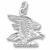 Eagle charm in 14K White Gold hide-image