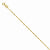 14K Yellow Gold Light Singapore Chain