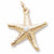 Starfish charm in Yellow Gold Plated hide-image