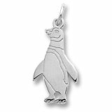 Penguin charm in Sterling Silver hide-image