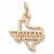 Dallas charm in Yellow Gold Plated hide-image