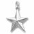 Star charm in 14K White Gold hide-image