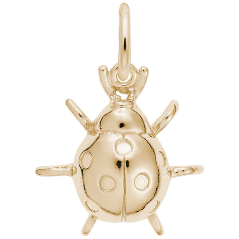 Lady Bug Charm in Yellow Gold Plated