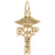 Rpn Charm in Yellow Gold Plated