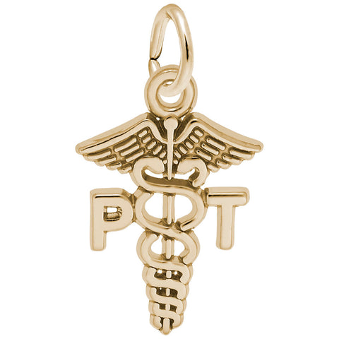 P T Charm in Yellow Gold Plated