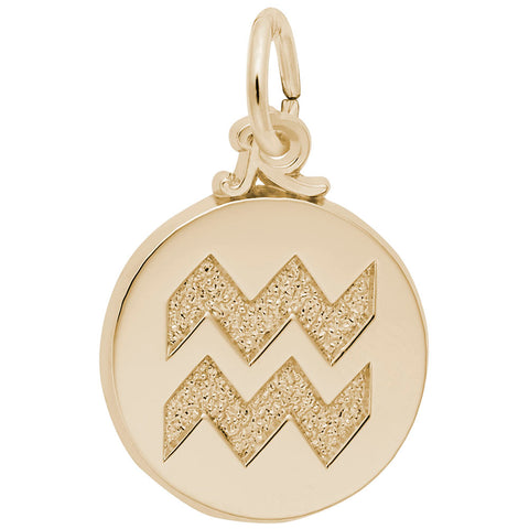 Aquarius Charm in Yellow Gold Plated