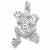 Frog charm in Sterling Silver hide-image
