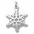 Snowflake charm in 14K White Gold hide-image