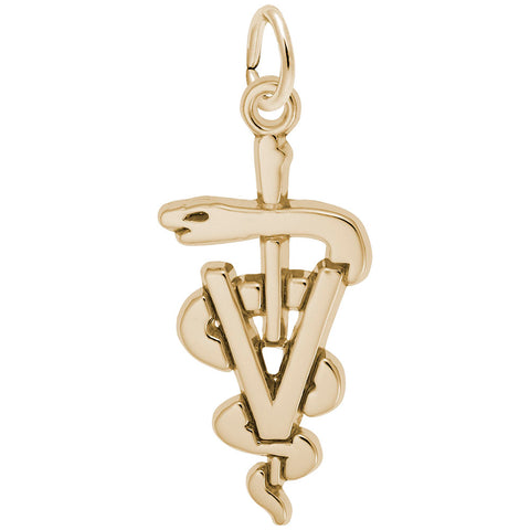 Veterinarian Charm In Yellow Gold