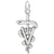 Veterinarian Charm In 14K White Gold