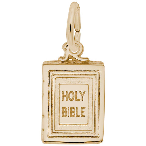 Bible Charm in Yellow Gold Plated