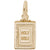 Bible Charm in Yellow Gold Plated