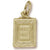 Bible charm in Yellow Gold Plated hide-image