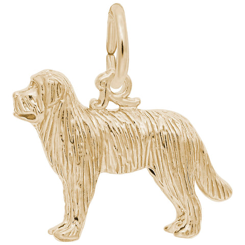 Dog, Newfoundland Charm In Yellow Gold