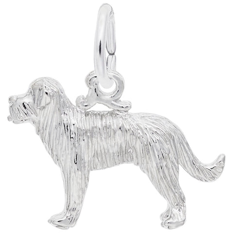 St Bernard Charm In 14K White Gold