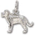 St Bernard charm in 14K White Gold hide-image