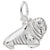 Walrus Charm In 14K White Gold