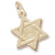 Star Of David charm in Yellow Gold Plated hide-image