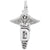 Dental Caduceus Charm In 14K White Gold