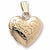 Locket charm in Yellow Gold Plated hide-image