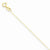 14K Yellow Gold Carded Curb Chain
