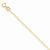 14K Yellow Gold Carded Chain